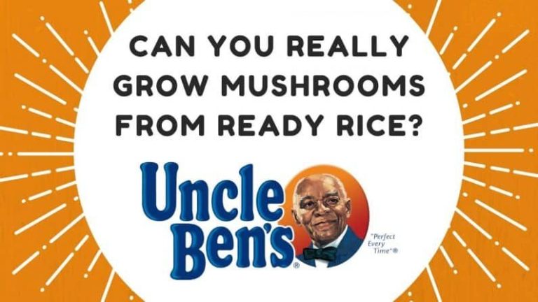 Easiest tek ever? Can you really grow mushrooms from an Uncle Bens’s Ready Rice package?