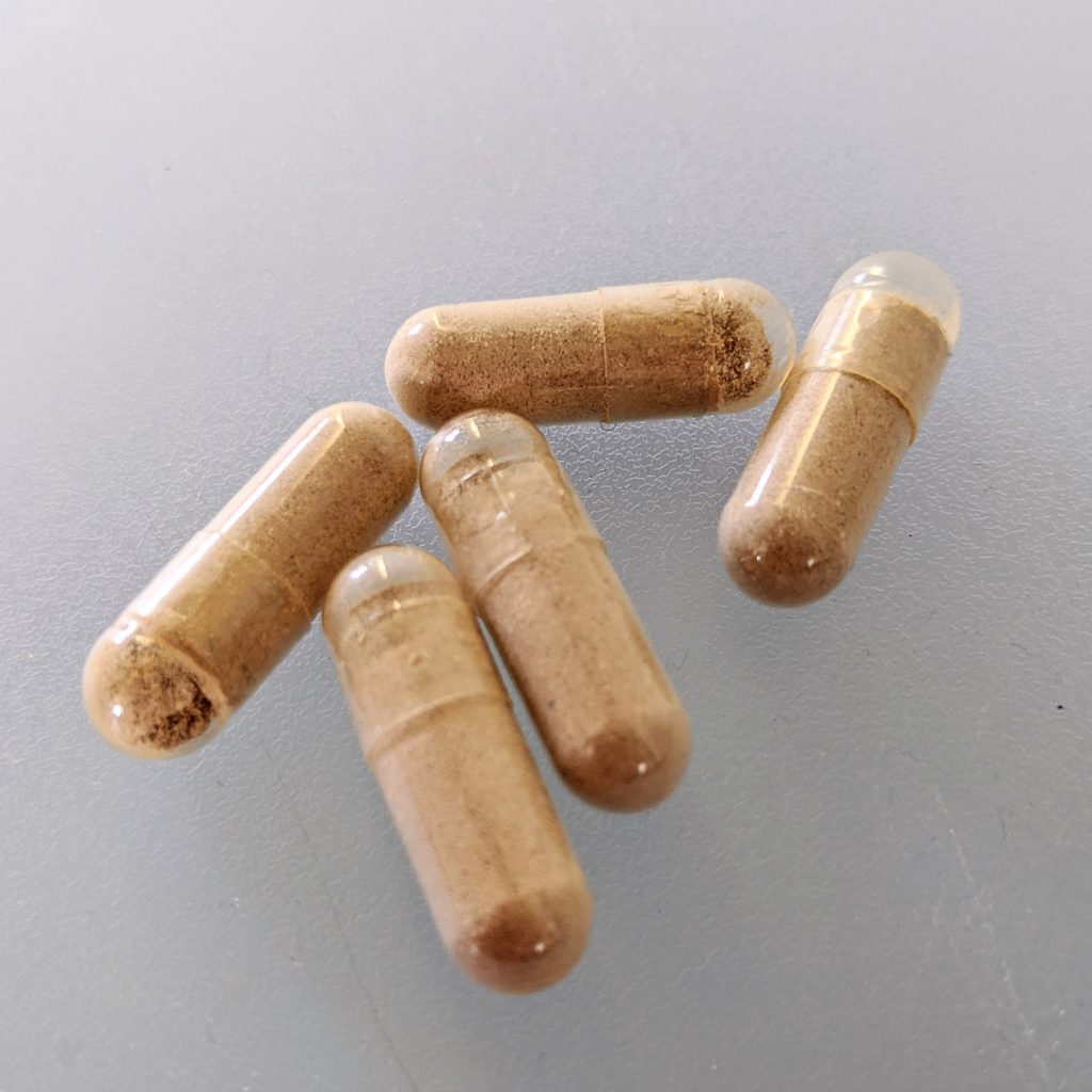 make your own microdose pills with mushrooms