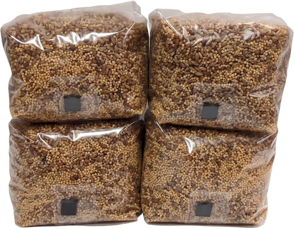 grain spawn bags with injection port