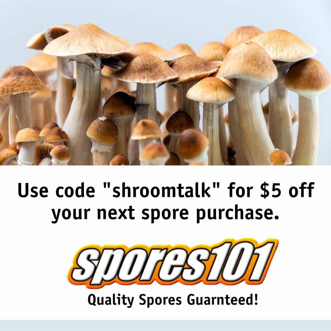 Buy mushroom spores online