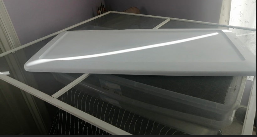 fruiting pan cyans