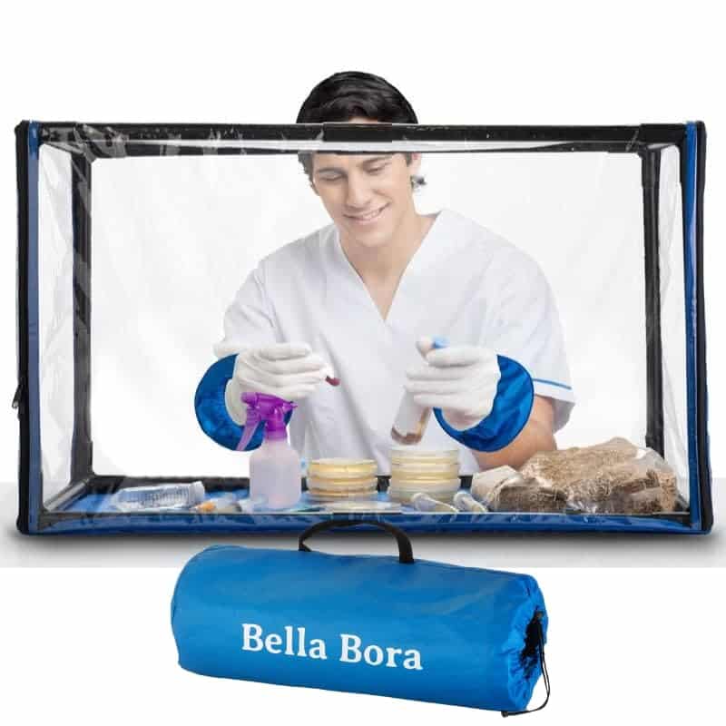 SAB on amazon