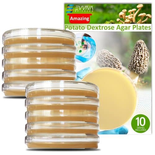 Potato Dextrose Agar Petri Dishes - Prepoured Potato Dextrose Agar (PDA)
