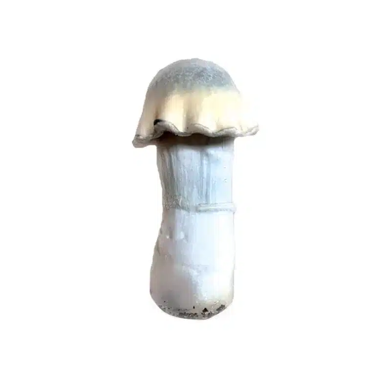 ghost mushroom